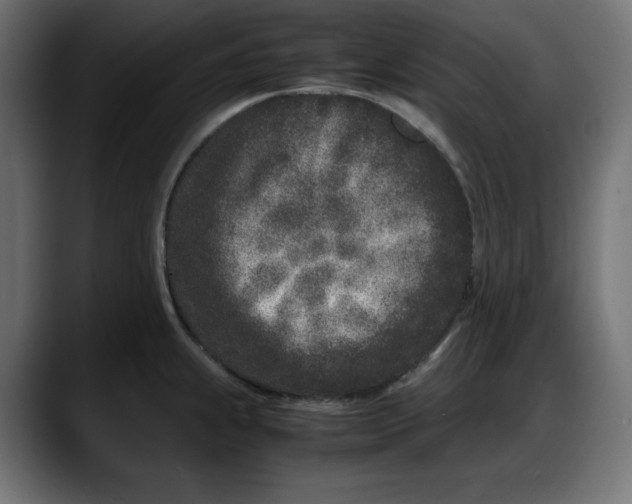 X0000087751239200705291027