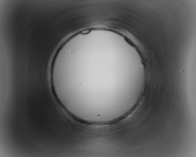 X0000087751240200705291027