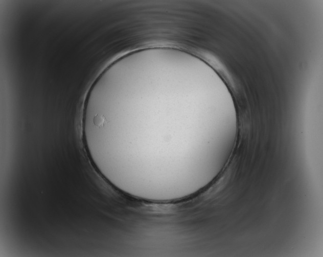 X0000087751244200705291027