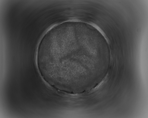 X0000087751245200705291027