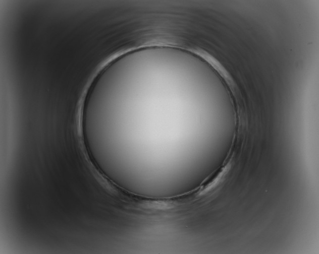 X0000087751246200705291027