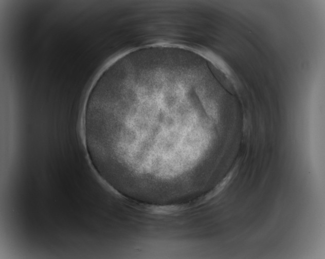 X0000087751247200705291027