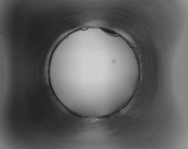 X0000087751248200705291027