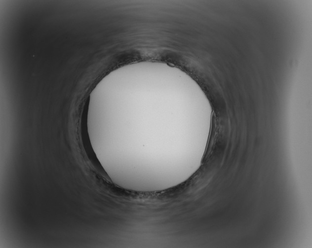 X0000087751249200705291026