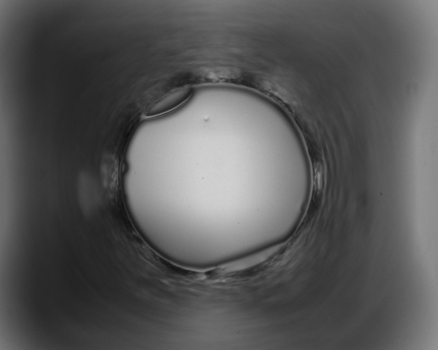 X0000087751251200705291026