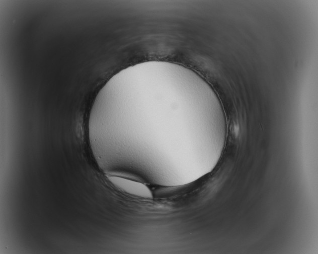 X0000087751252200705291026