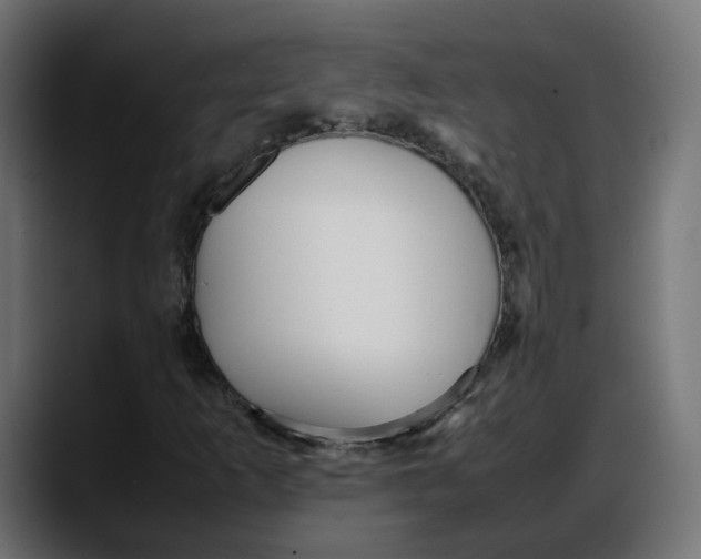 X0000087751253200705291026