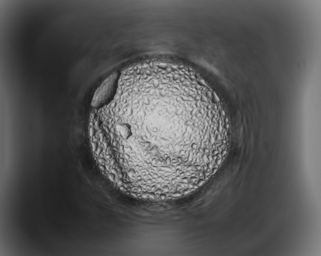 X0000087751255200705291026