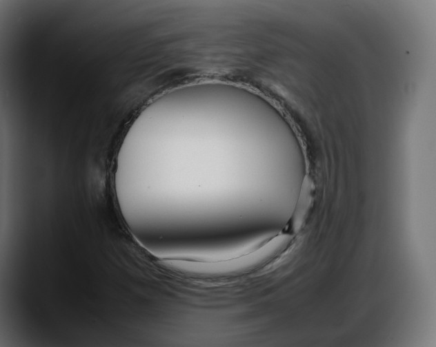 X0000087751257200705291026