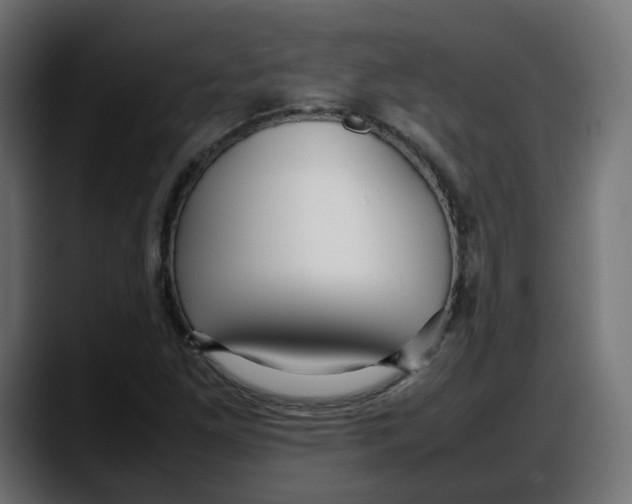 X0000087751261200705291026