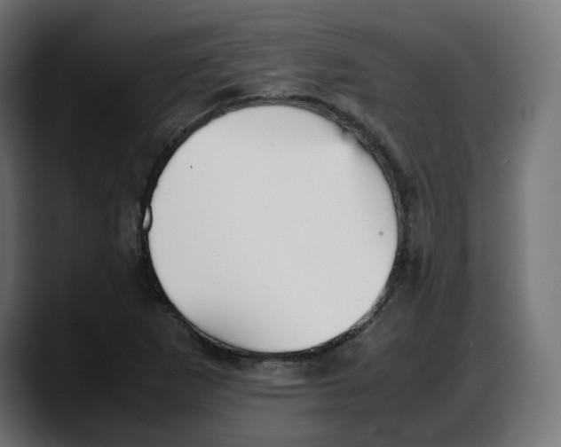 X0000087751265200705291026