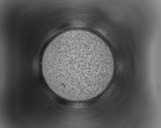 X0000087751266200705291026