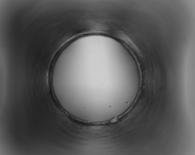 X0000087751268200705291026