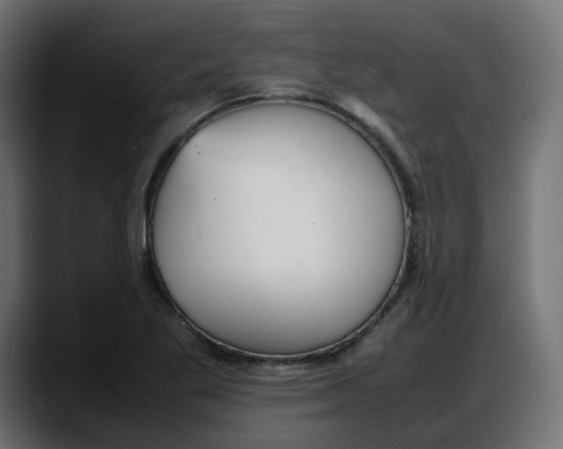 X0000087751269200705291026