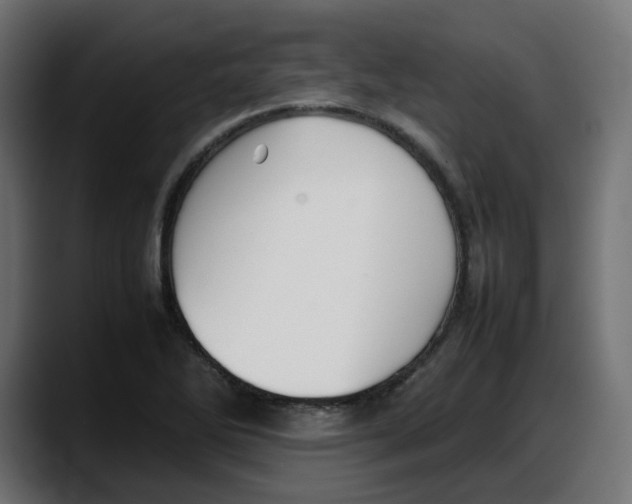 X0000087751270200705291026