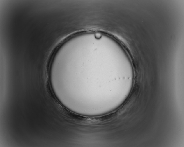 X0000087751271200705291026