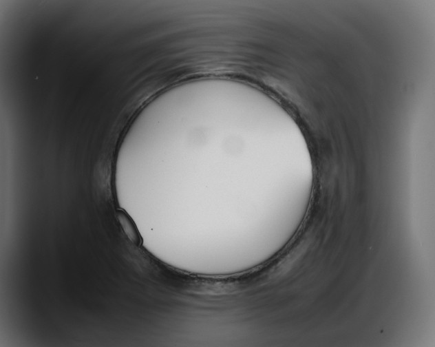 X0000087751273200705291026