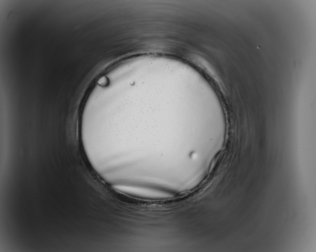 X0000087751275200705291026