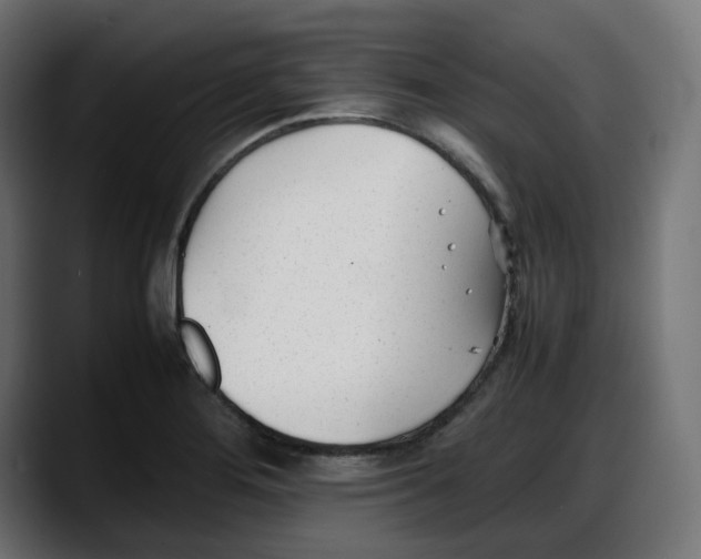 X0000087751276200705291026