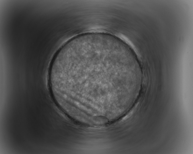 X0000087751277200705291026