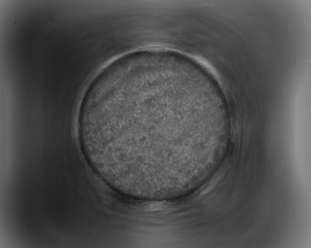 X0000087751279200705291026