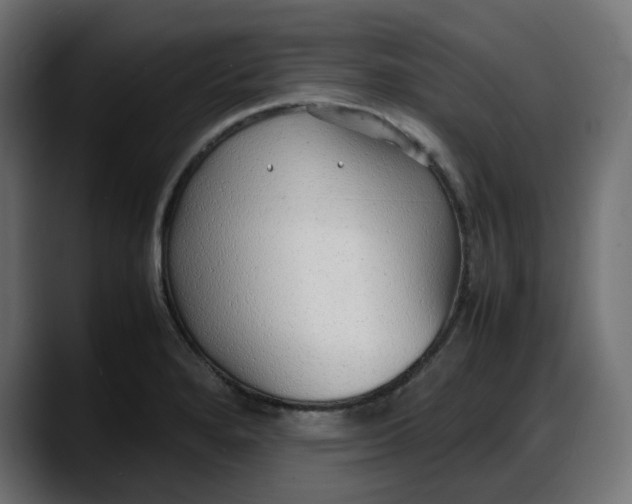 X0000087751280200705291026