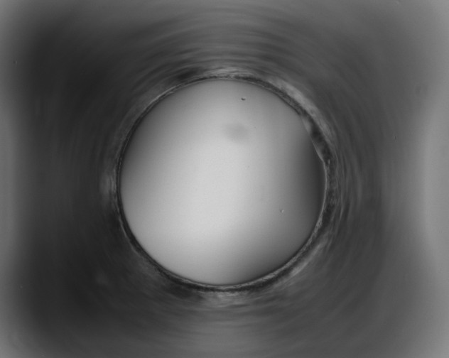 X0000087751281200705291026