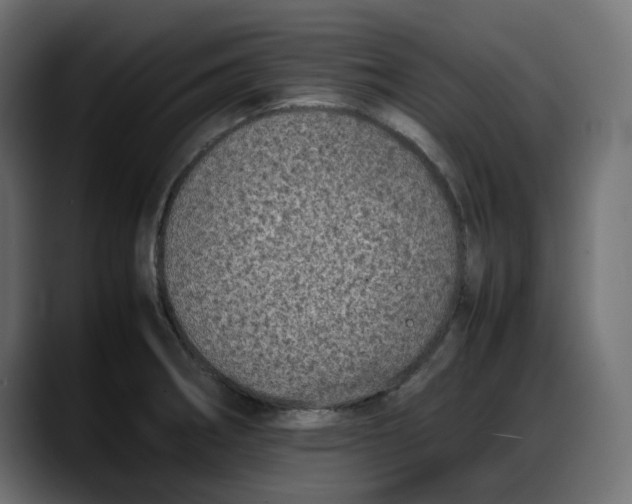 X0000087751282200705291026