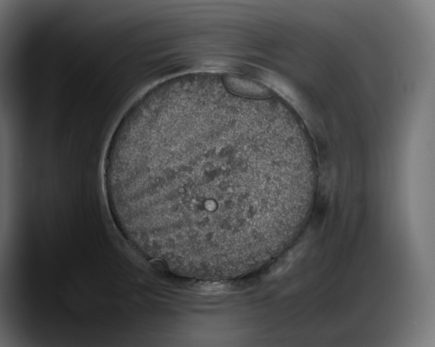 X0000087751283200705291026