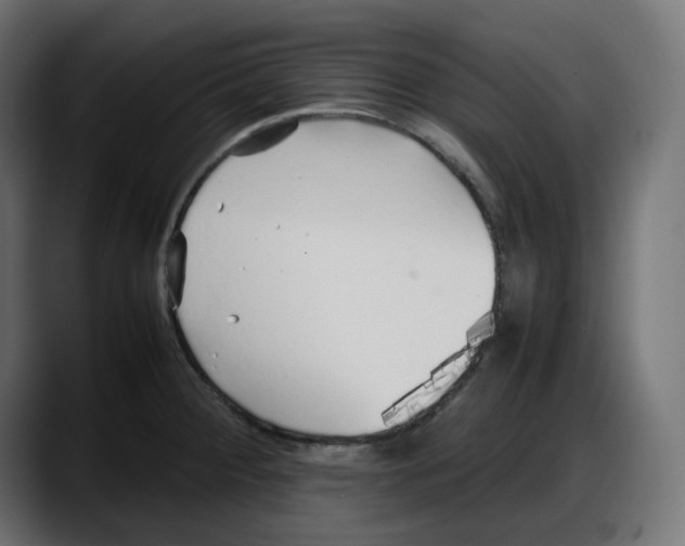 X0000087751284200705291026