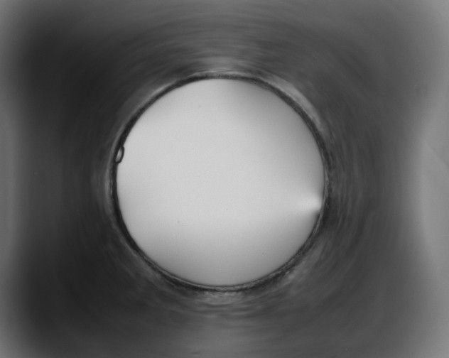 X0000087751285200705291026