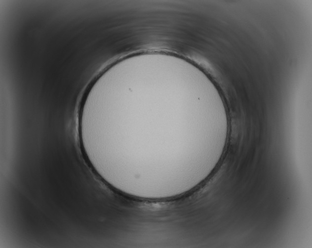 X0000087751286200705291026