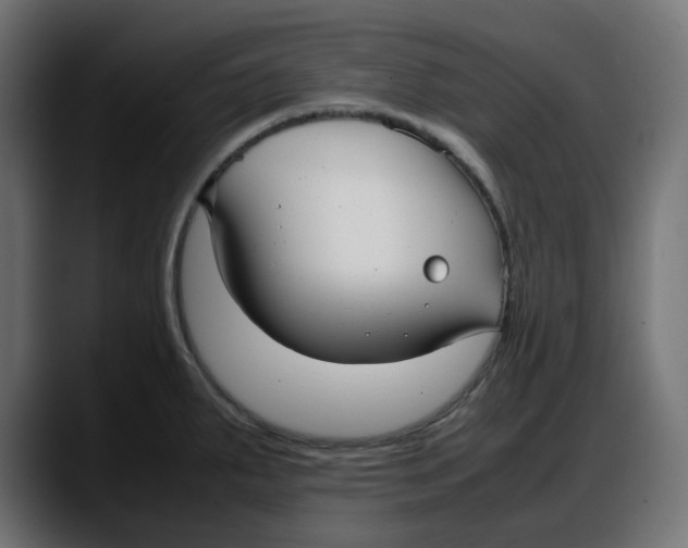 X0000087751287200705291026