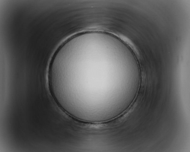 X0000087751288200705291026