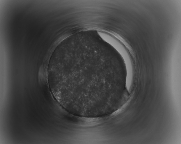 X0000087751289200705291026