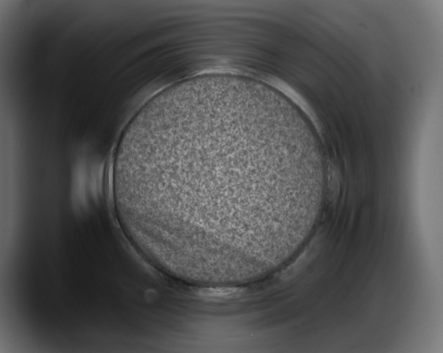 X0000087751290200705291026