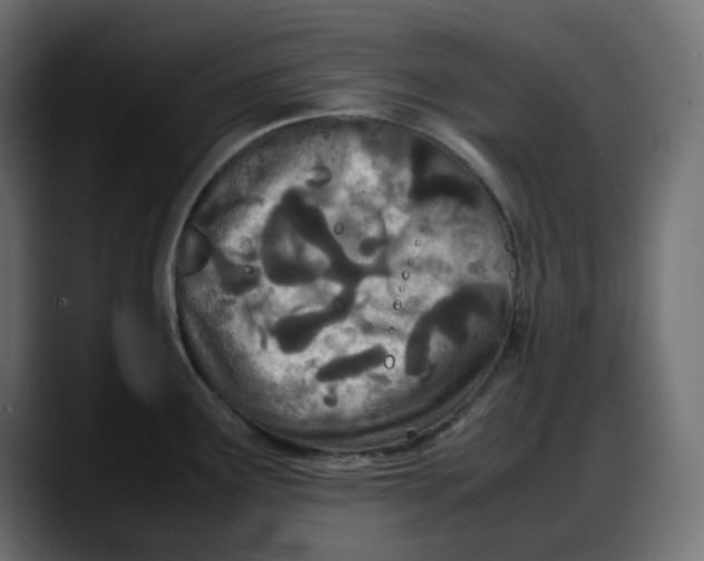 X0000087751291200705291026