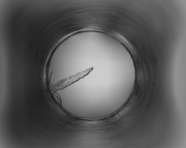 X0000087751292200705291026