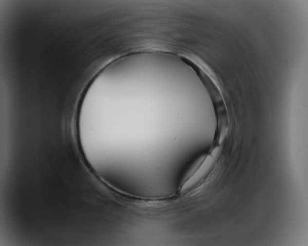 X0000087751293200705291026