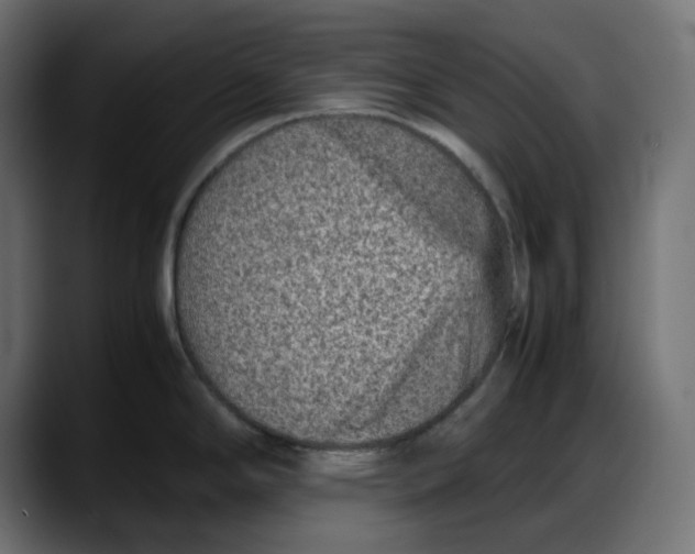 X0000087751294200705291026