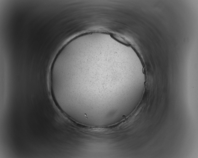 X0000087751295200705291026