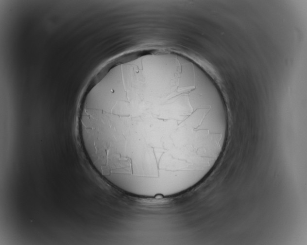 X0000087751296200705291026