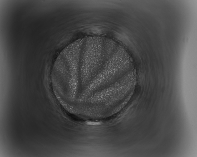 X0000087751297200705291025