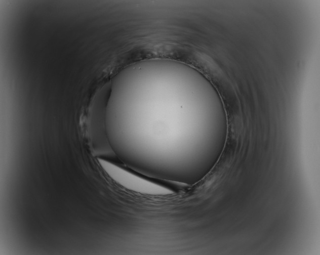 X0000087751298200705291025