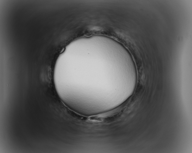 X0000087751301200705291025