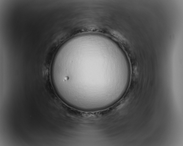 X0000087751302200705291025