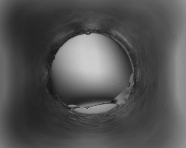 X0000087751303200705291025