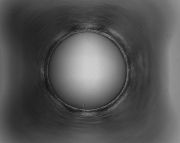 X0000087751305200705291025