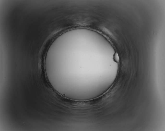 X0000087751307200705291025