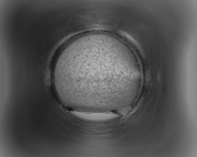 X0000087751310200705291025